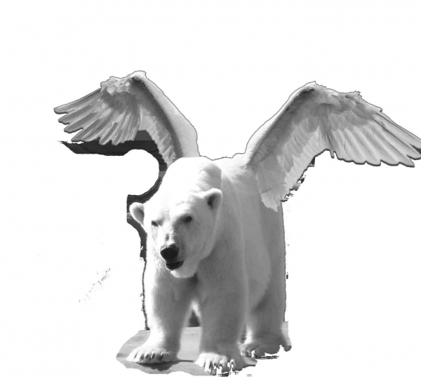 Creation of On a wing and a bear: Step 2